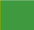 Zielony