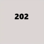 Popielaty 202