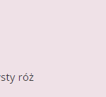 czysty róż