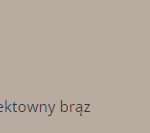efektowny brąz
