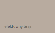 efektowny brąz