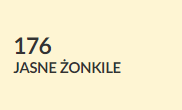 jasne żonkilie
