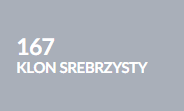 klon srebrzysty