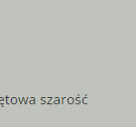 miętowa szarość