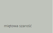 miętowa szarość