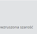 niewzruszona szarość