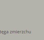 potęga zmierzchu