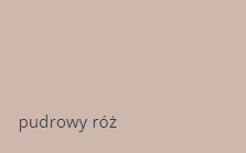 pudrowy róż