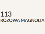 różowa magnolia