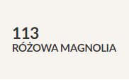 różowa magnolia