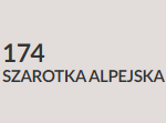 szarotka alpejska