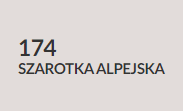 szarotka alpejska