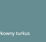 szykowny turkus