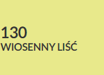 wiosenny liść