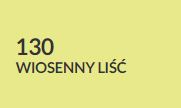 wiosenny liść