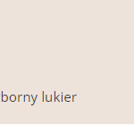 wyborny lukier