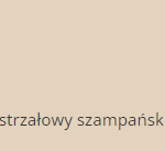 wystrzałowy szampański