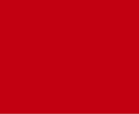 RAL 3020