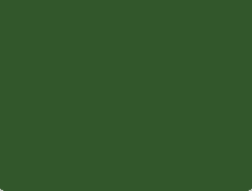 RAL 6002