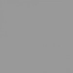 RAL 9022
