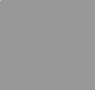 RAL 9022