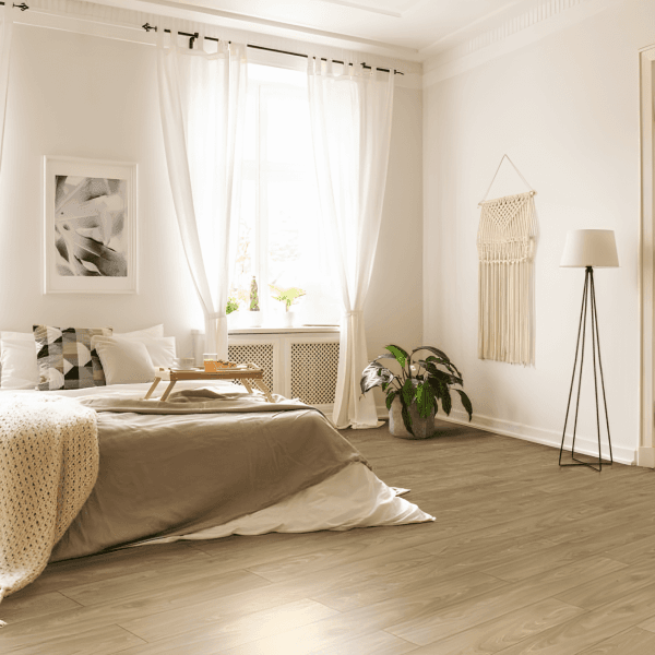 Dąb Atlas-min Dąb Atlas-min