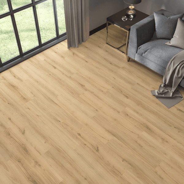 Dąb Bella PRK Dąb Bella PRK