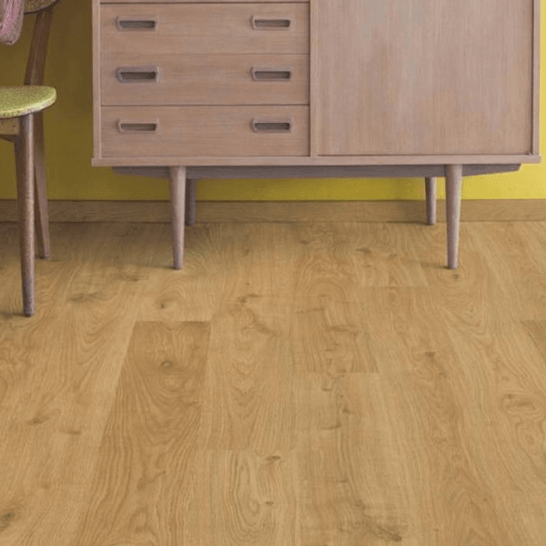 Dąb Bielony Jasny Dąb Bielony Jasny