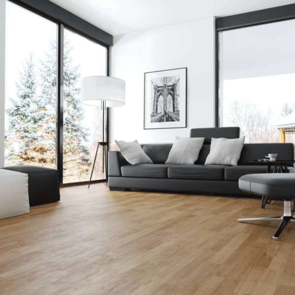 Dąb Dortmund Dąb Dortmund