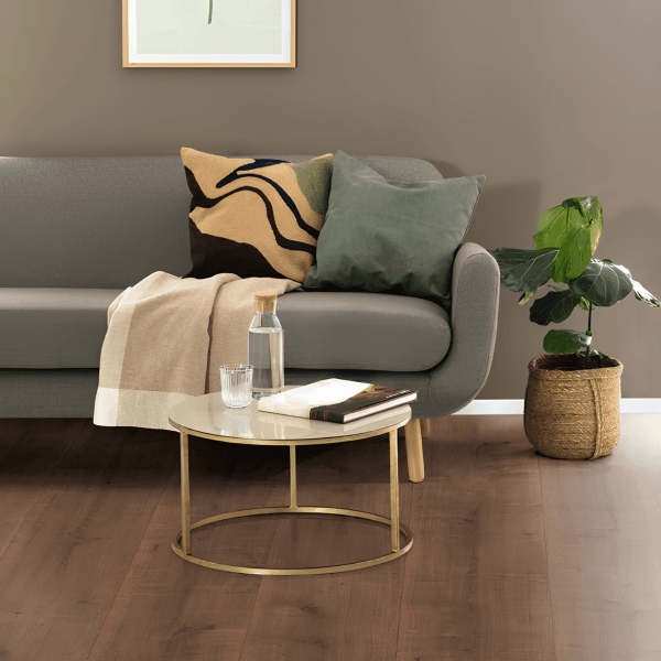 Dąb Hamilton Ciemny Dąb Hamilton Ciemny