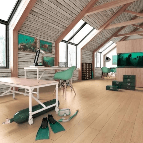 Dąb Japoński D Dąb Japoński D