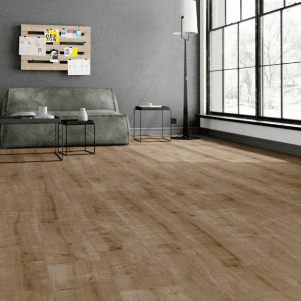 Dąb Kopenhaga Dąb Kopenhaga