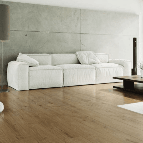 Dąb Libra D Dąb Libra D