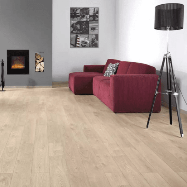 Dąb Masala D Dąb Masala D