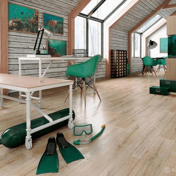 Dąb Pacyfik D Dąb Pacyfik D