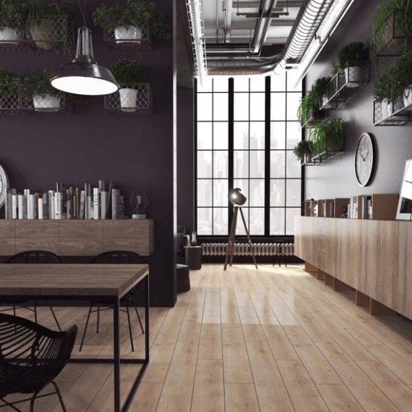 Dąb Scorpio D Dąb Scorpio D