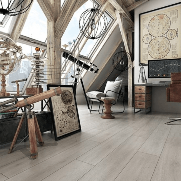 Dąb Taurus D Dąb Taurus D