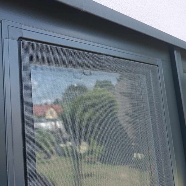 450291011_2007874229608292_8919789062655734952_n 450291011_2007874229608292_8919789062655734952_n