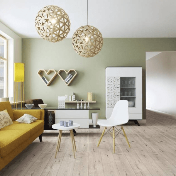 Dąb Debora Dąb Debora