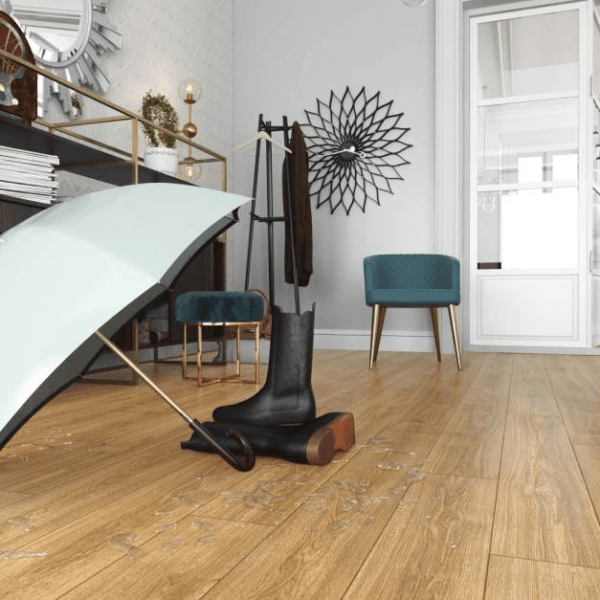 Dąb Estera Dąb Estera