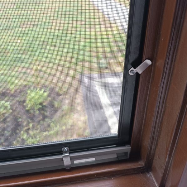 IMG_20240821_161449-min IMG_20240821_161449-min