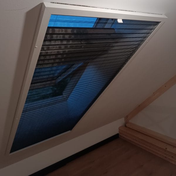 IMG_20240821_202224-min IMG_20240821_202224-min