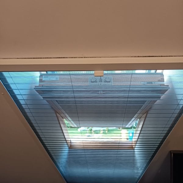 IMG_20240826_191501-min IMG_20240826_191501-min