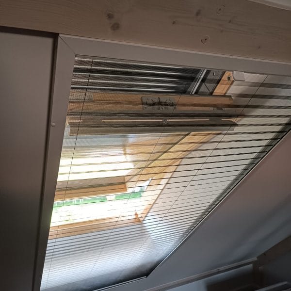 IMG_20240905_145910-min IMG_20240905_145910-min