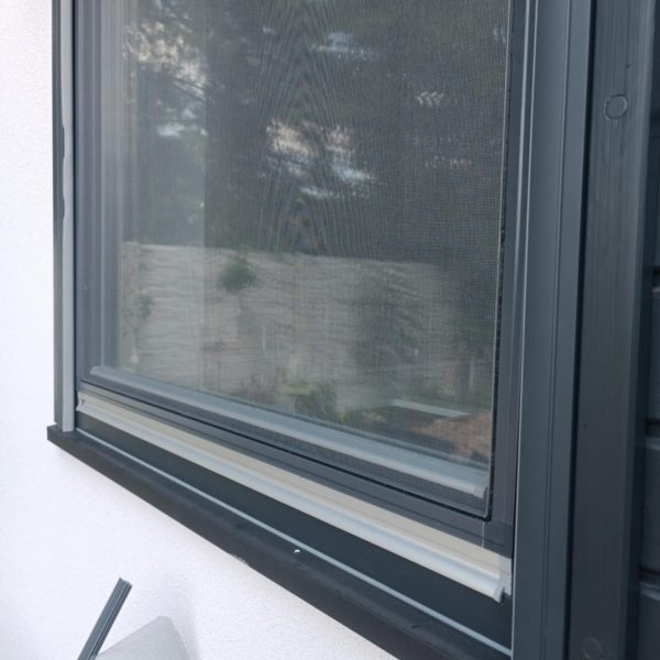 d4874d42-0b8d-482f-b1dd-85e4eaa61c54 d4874d42-0b8d-482f-b1dd-85e4eaa61c54