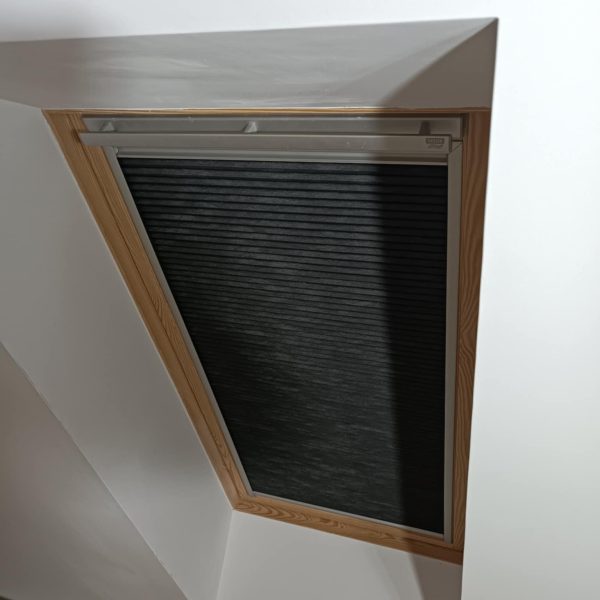 1636ab66-807b-47fe-9cf1-e894579ca66e 1636ab66-807b-47fe-9cf1-e894579ca66e