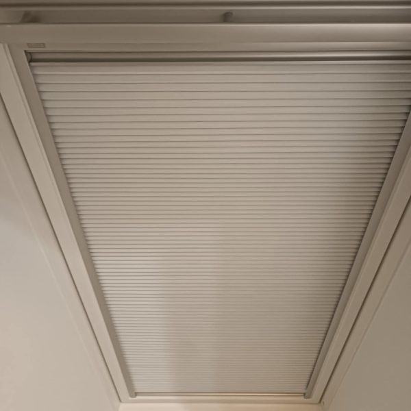 696a451e-399c-4853-9419-9fe85b892e50 696a451e-399c-4853-9419-9fe85b892e50