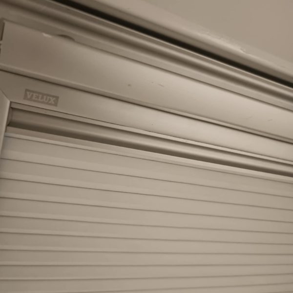 91d4e513-3f19-4301-8f25-80c8caab5cc6 91d4e513-3f19-4301-8f25-80c8caab5cc6