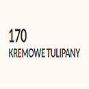 Kremowe tulipany