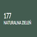 Naturalna zieleń